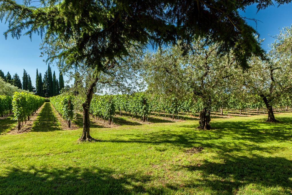 Quercia Belvedere Relais Bardolino Bagian luar foto